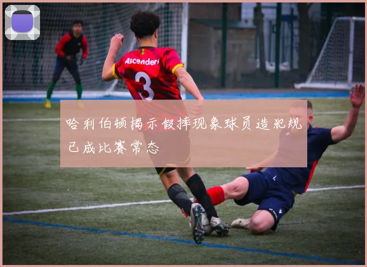 哈利伯顿揭示假摔现象球员造犯规已成比赛常态